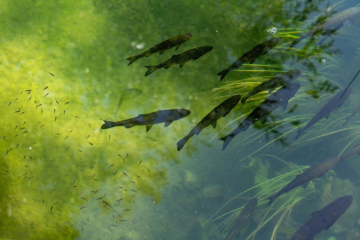 木造蒸留所の設計で重要な考え方