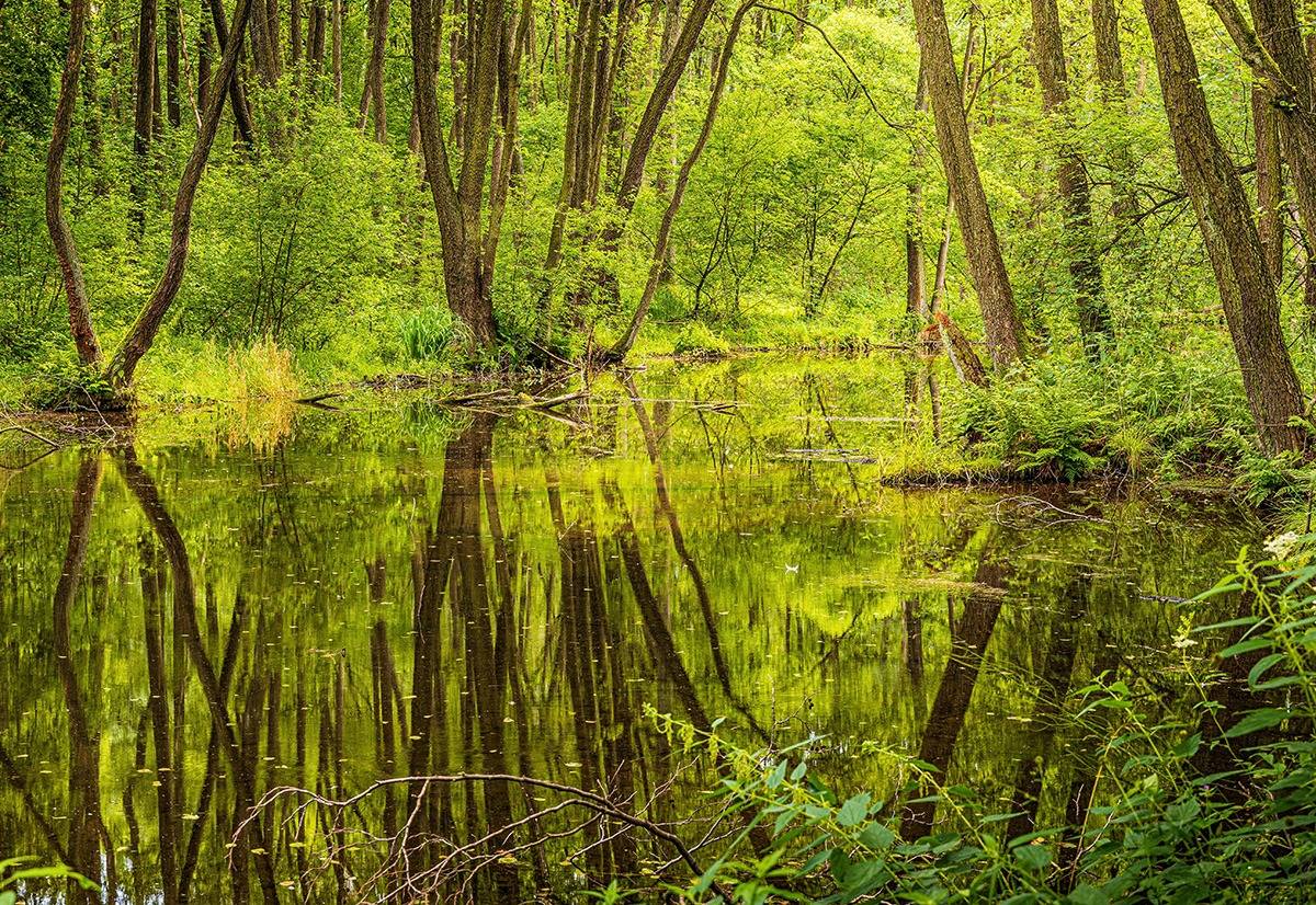 木造蒸留所が向いているケース・注意が必要なケース