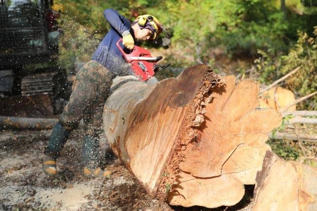 木造で蒸留施設をつくるということ