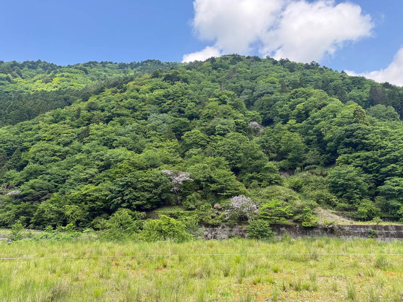木造建築は「木を使うこと」だけが目的ではない