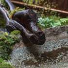 壬生ゲストハウス｜京都の町家文化を再構築した宿泊施設設計